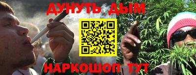 прущие грибы Усть-Джегута