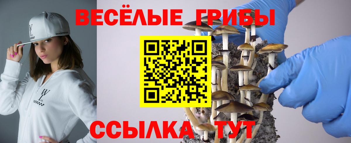 Псилоцибиновые грибы MAGIC MUSHROOMS Ялуторовск